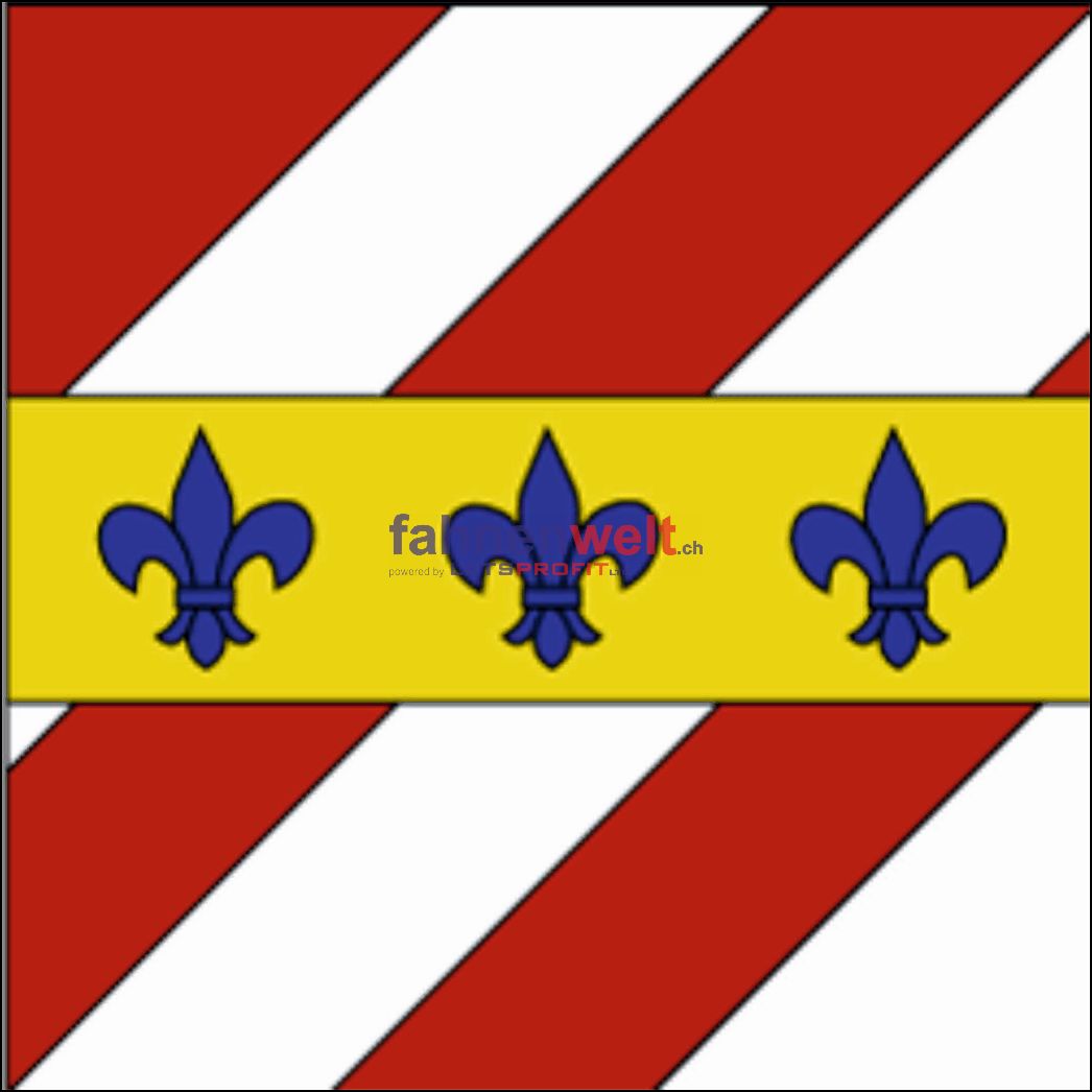 Gemeindefahne 6714 Semione Ehemalige Gemeinde Flaggenwelt